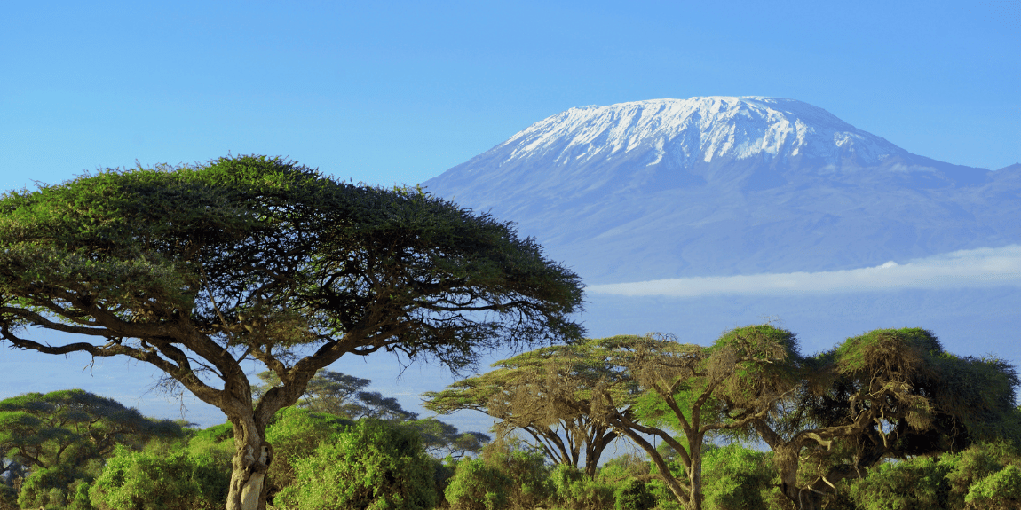 Kilimandžaro ekspedicija
